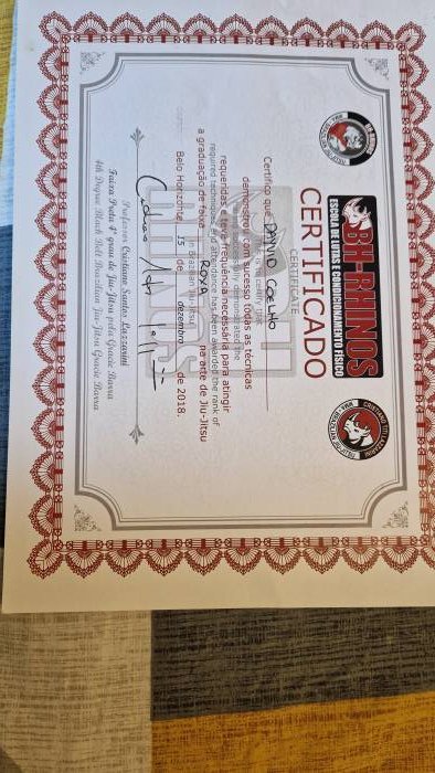 Purple belt ยท December 17, 2018 ยท Promoted by Cristiano Lazzarini