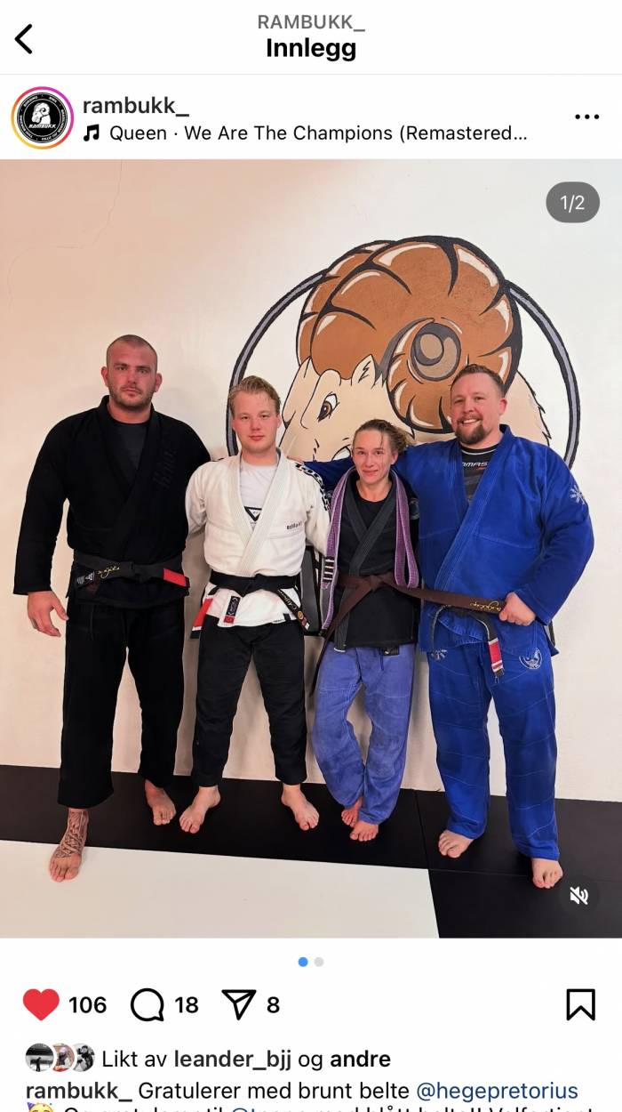 Brown belt · November 11, 2024 · Promoted by Audun Martinsen