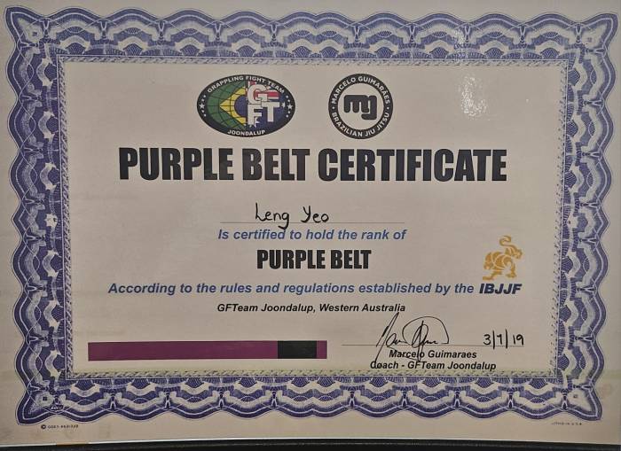 Purple belt · July 3, 2019 · Promoted by Marcelo Guimaraes