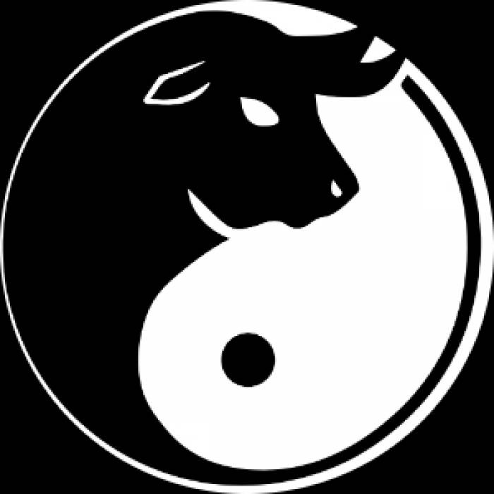 Checkmat Aalborg Brazilian Jiu-jitsu