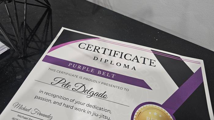Purple belt · April 26, 2025 · Promoted by Michael Fernandez