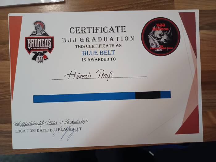 Blue belt · February 1, 2024 · Promoted by Constantin Hayn