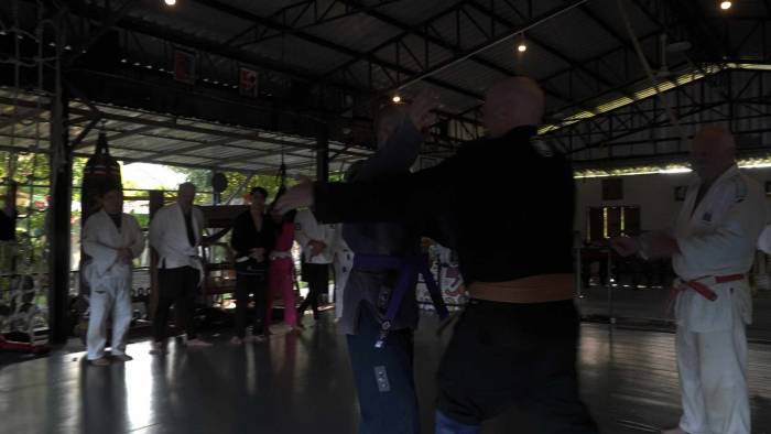 Purple belt · April 28, 2025 · Promoted by Aaron LeBoutillier