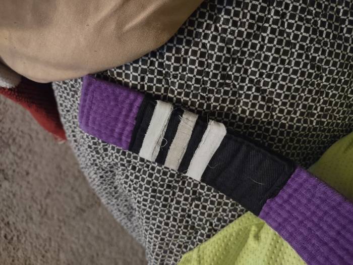 Purple belt · October 14, 2023 · Promoted by Regis calixto