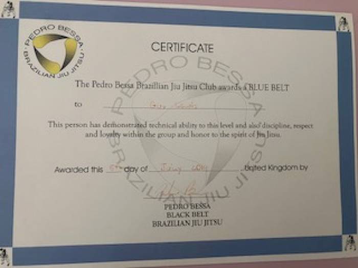 Blue belt · July 5, 2014 · Promoted by Pedro Bessa