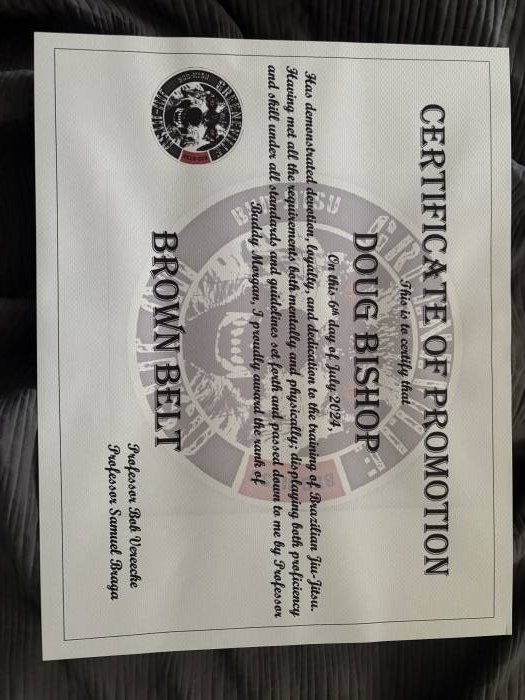 Brown belt · July 11, 2024 · Promoted by Robert Vereecke