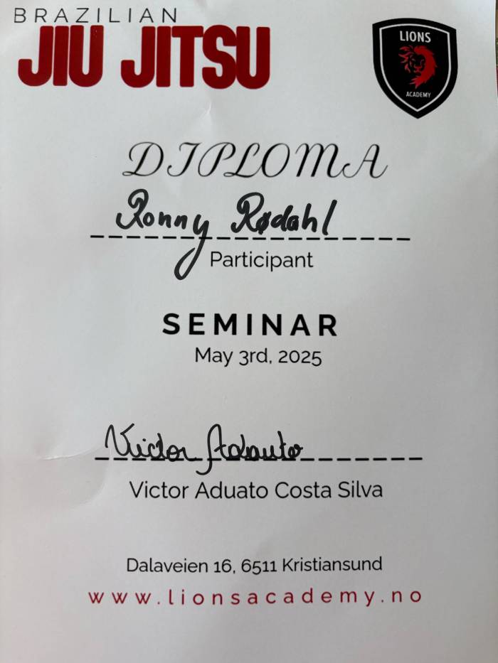 Diploma seminar VIctor Silva May 2025