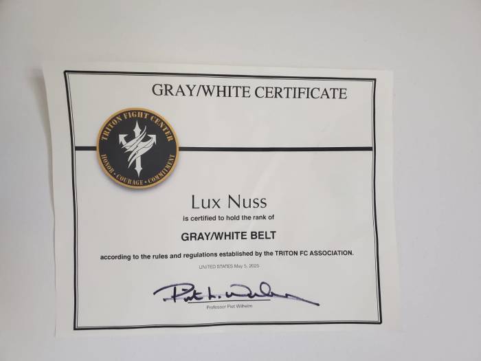 Gray belt · May 7, 2025 · Promoted by Piet Wilhelm