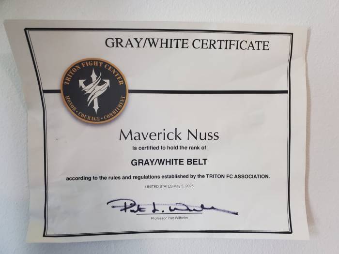Gray belt · May 7, 2025 · Promoted by Piet Wilhelm