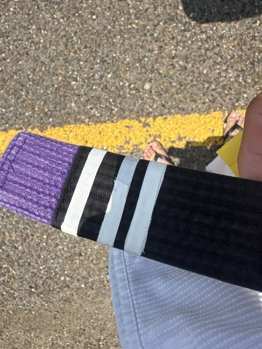Purple belt · November 14, 2024 · Promoted by Carlos Diego Ferreira