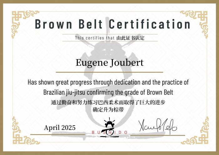 Brown belt · April 26, 2025 · Promoted by Saulo Melo
