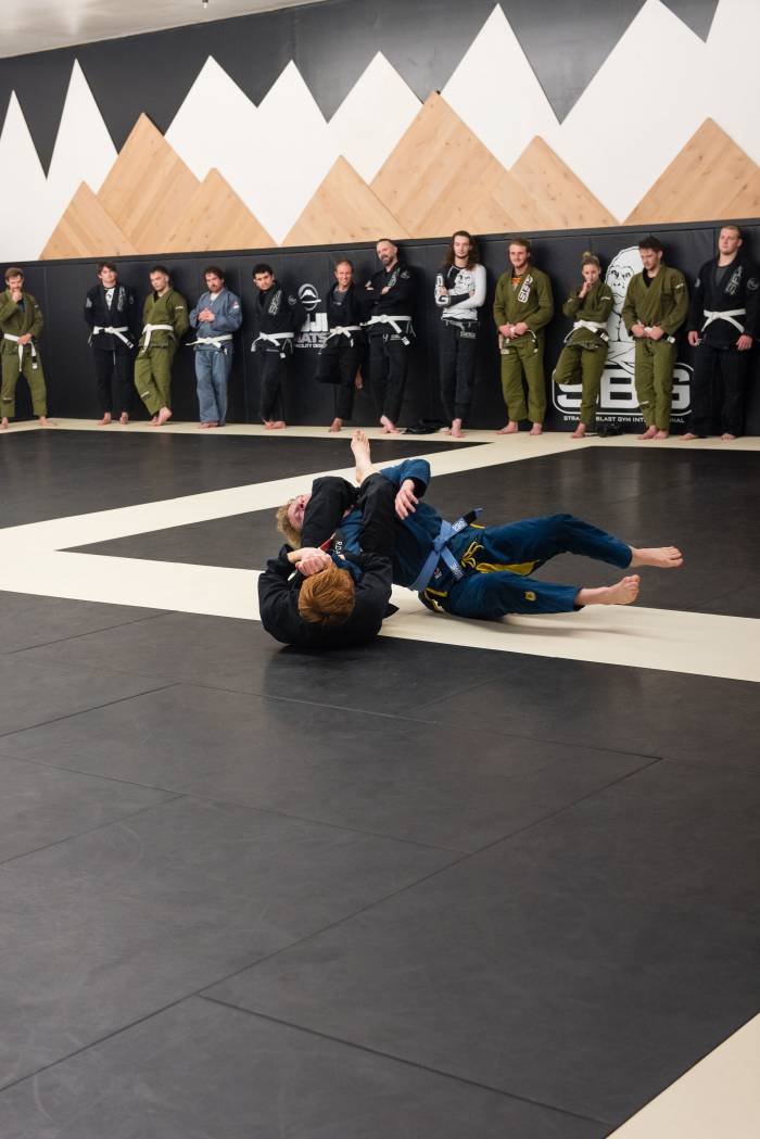 Blue belt · November 8, 2024 · Promoted by Ricky Davison