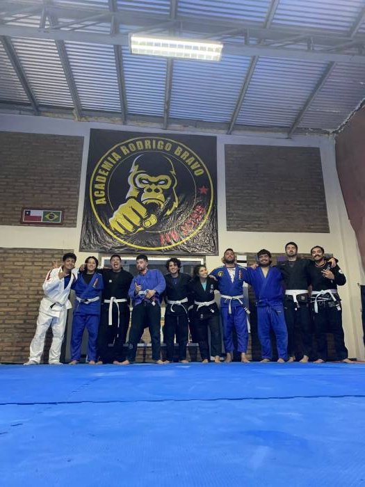 visita de bjj