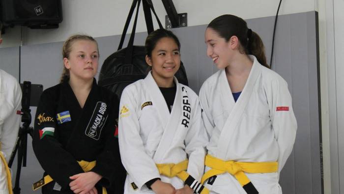 Yellow belt · June 4, 2023 · Promoted by Mikael Marffy
