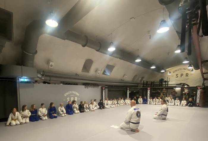 Gray belt · December 19, 2021 · Promoted by Waldo Zapata