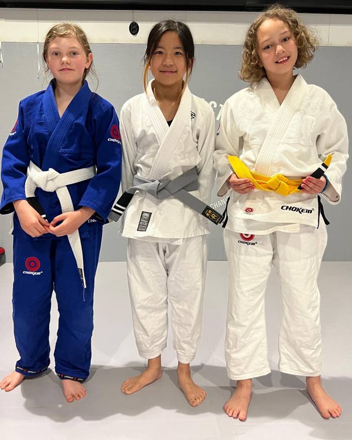 Gray belt · December 19, 2021 · Promoted by Waldo Zapata