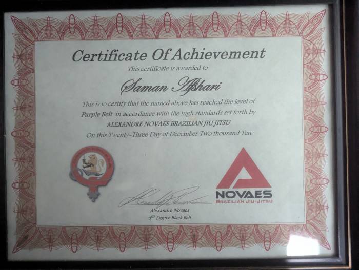 Purple belt · December 23, 2010 · Promoted by Alexandre Novaes