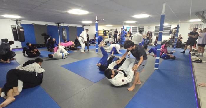 Brown belt · July 14, 2024 · Promoted by Carlos Cavernicola Rodriguez