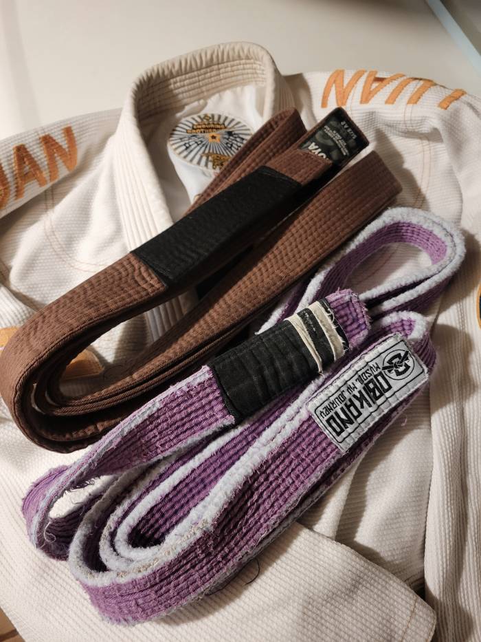 Brown belt · July 7, 2025 · Promoted by Prof. Richard Goodwin