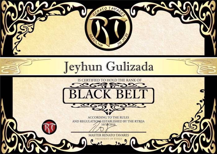 Black belt · September 16, 2016 · Promoted by Alexandre Odebrecht