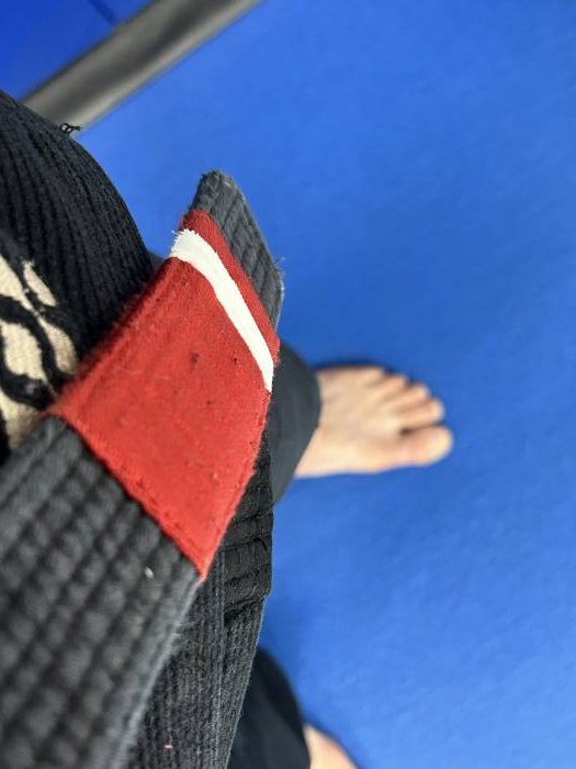 Black belt 1st degree · December 21, 2024 · Promoted by Paul Nava
