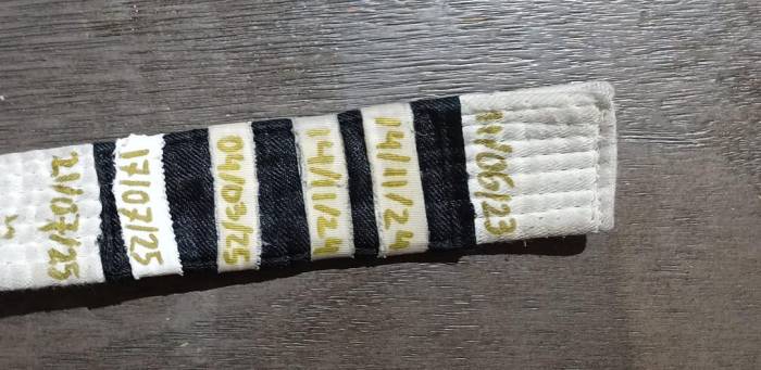 White belt · June 6, 2023