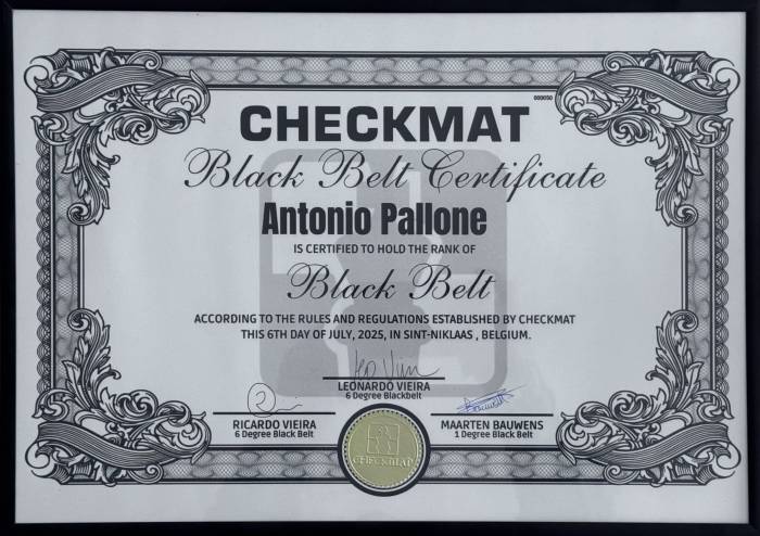 Black belt · July 6, 2025 · Promoted by Maarten Bauwens