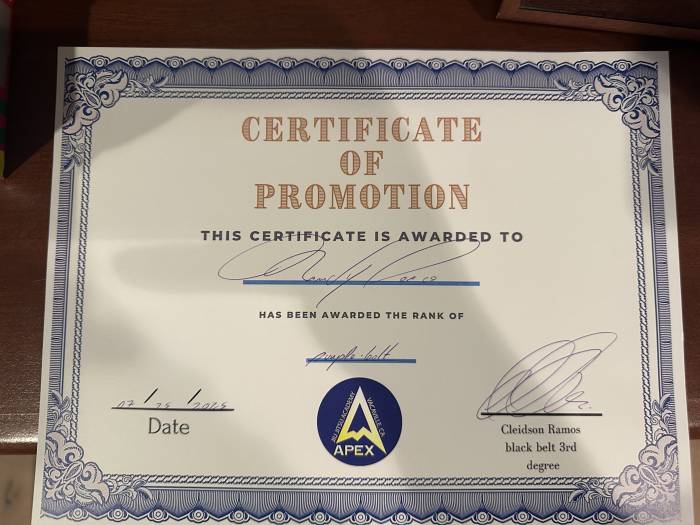 Purple belt · July 25, 2025 · Promoted by Cleidson Ramos