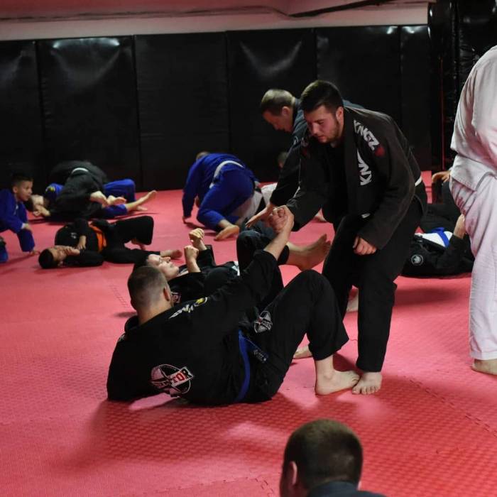 Blue belt · June 10, 2017 · Promoted by Aleksandar Milicevic