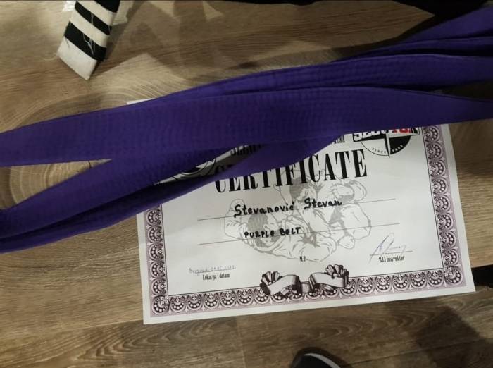 Purple belt · June 1, 2019 · Promoted by Aleksandar Milicevic