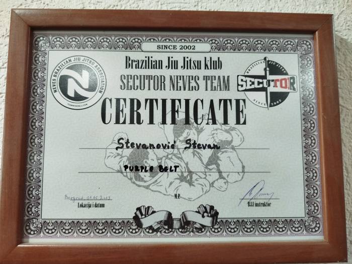Purple belt · June 1, 2019 · Promoted by Aleksandar Milicevic