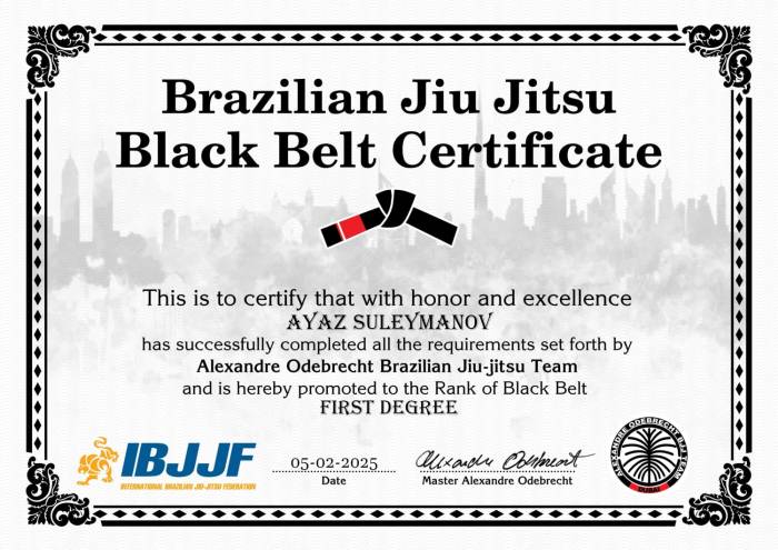 Black belt 1st degree · February 5, 2025 · Promoted by Jeyhun Gulizada