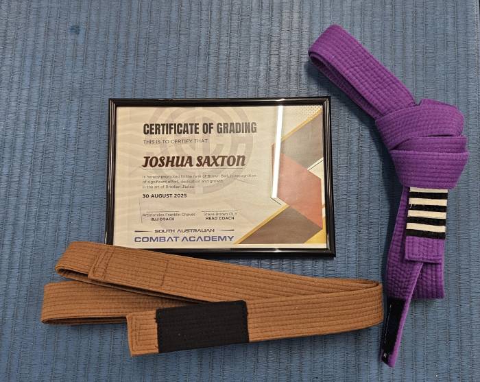 Brown belt · August 30, 2025 · Promoted by Aristóteles F Chaves