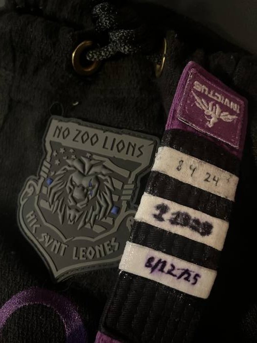 Purple belt · January 20, 2024 · Promoted by David Wenig