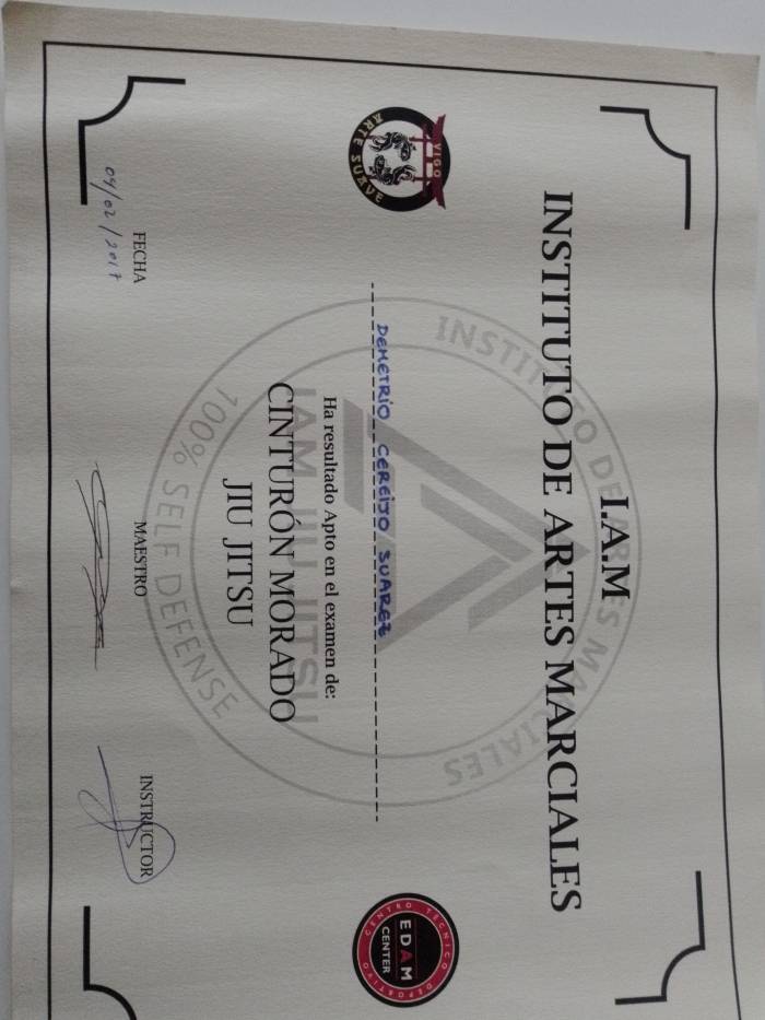 Purple belt · February 4, 2017 · Promoted by Davi Cavalcante