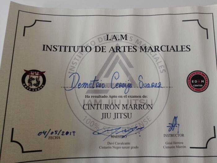 Brown belt · May 4, 2019 · Promoted by Davi Cavalcante
