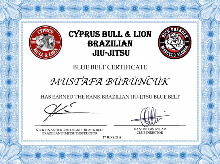 Blue belt · June 27, 2018 · Promoted by Nicklas Unander-Scharin
