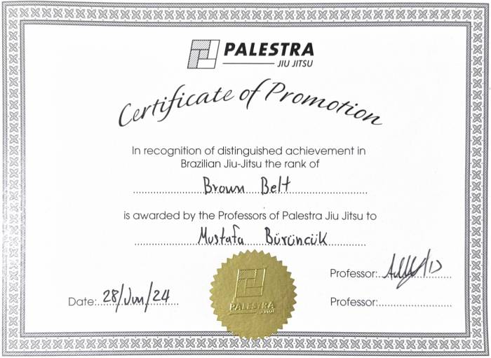 Brown belt · June 28, 2024 · Promoted by Andreas Achniotis Perales