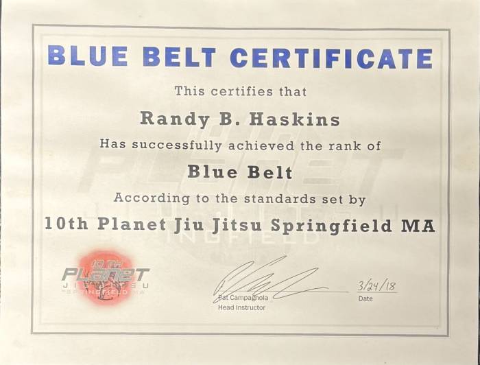 Blue Belt Certification…