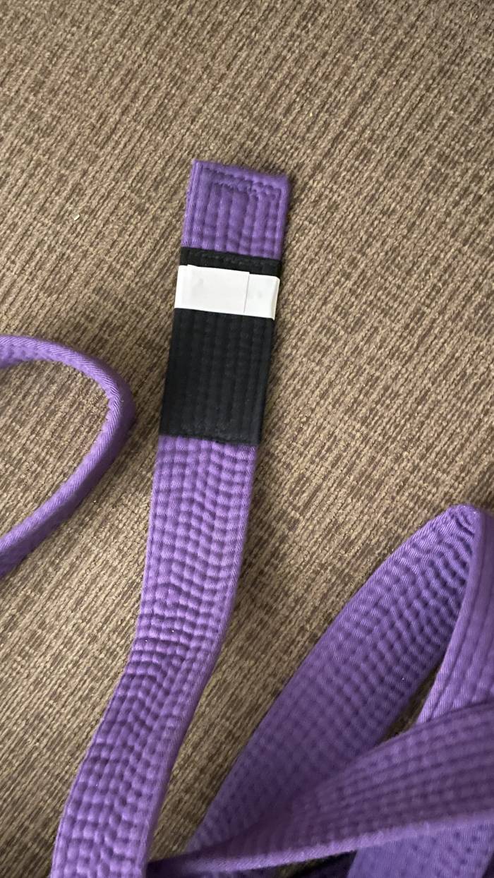 Purple belt · May 15, 2023 · Promoted by Felipe Depaula