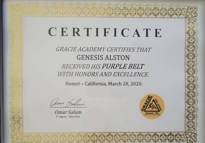 Purple belt · April 28, 2020 · Promoted by Omar Salum