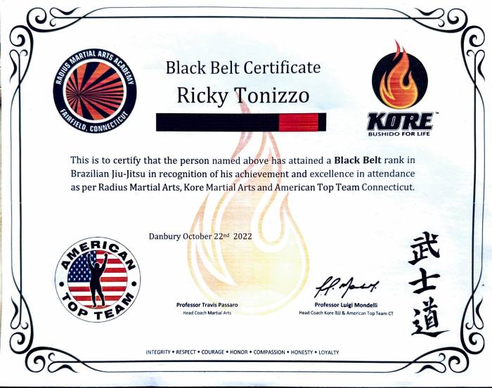 Black belt · October 22, 2022 · Promoted by Luigi Mondelli