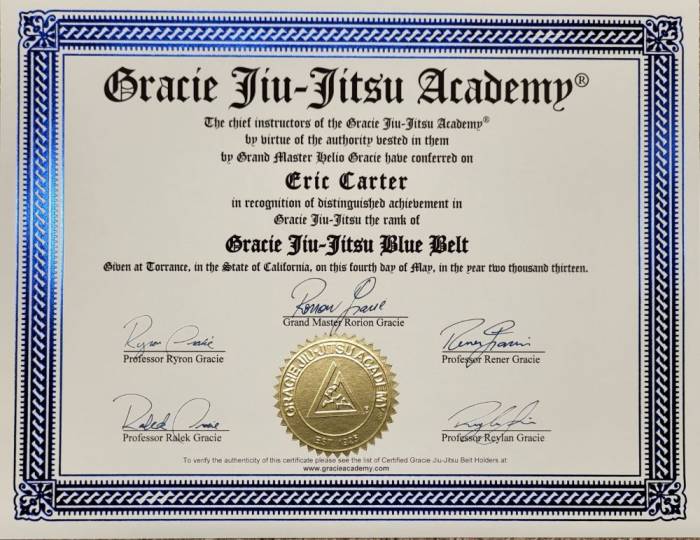 Blue belt · May 4, 2013 · Promoted by Chris Bailey