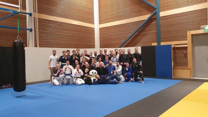 Brown belt · November 11, 2025 · Promoted by Jorgen Matsi