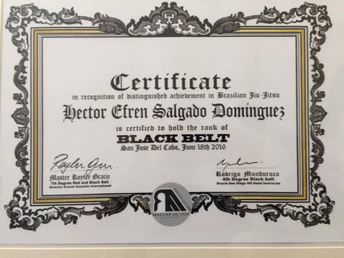 Black belt · June 6, 2016 · Promoted by Rodrigo Munduruca