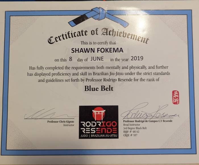 Blue belt · June 8, 2019 · Promoted by Rodrigo Resende