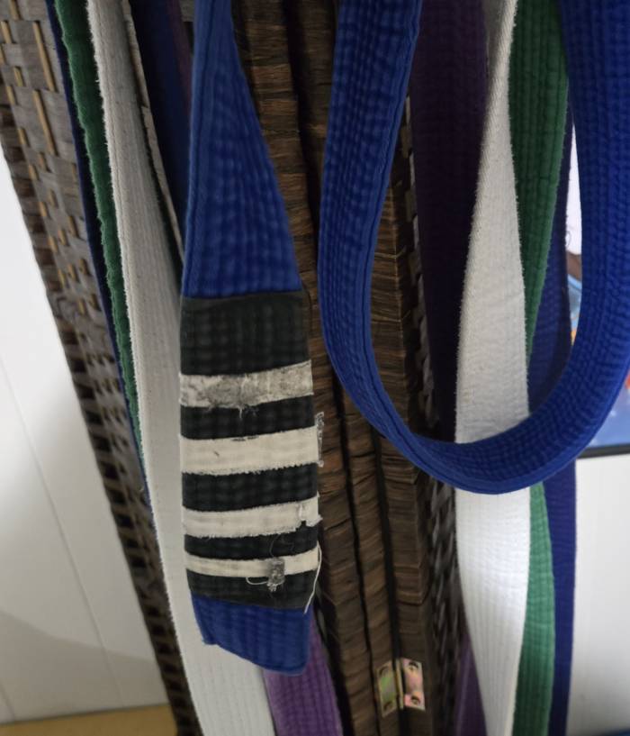 Blue belt · December 1, 2019 · Promoted by Malcolm X Gordon current 1st degree, James Frank(owner of Progression BJJ)current 2nd degree