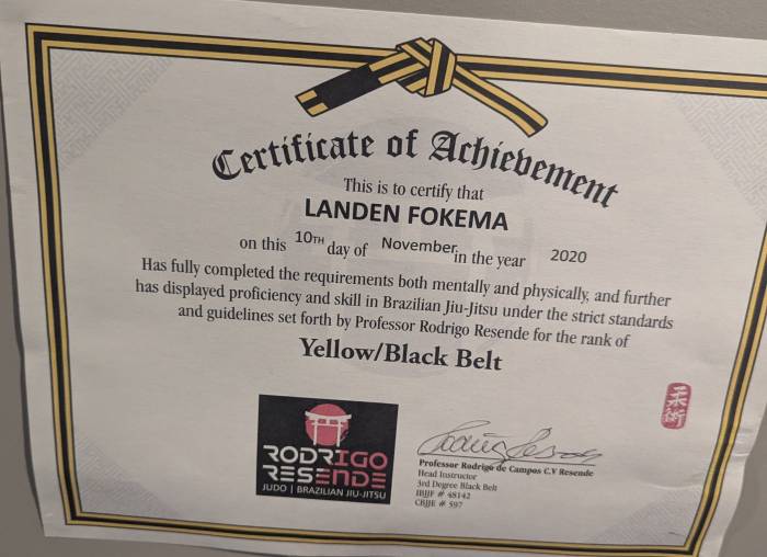 Yellow belt · November 10, 2020 · Promoted by Rodrigo Resende