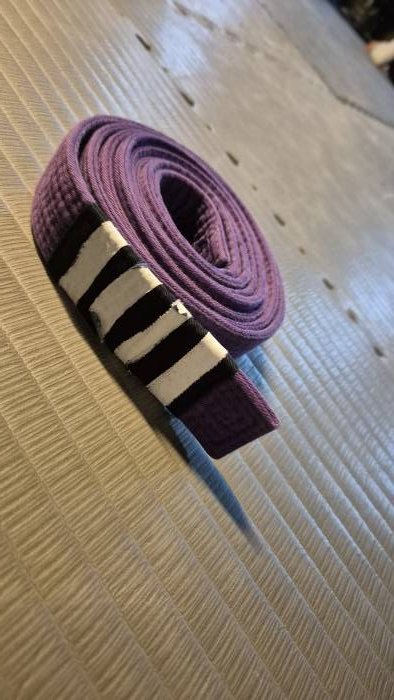 Purple belt · January 19, 2024 · Promoted by Ian Patullo