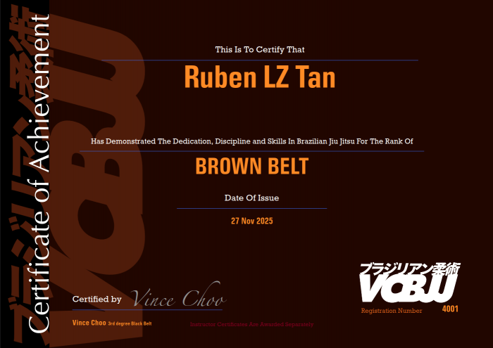 Brown belt · November 27, 2025 · Promoted by Kwokyin Choo